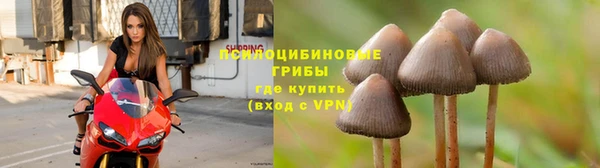 а пвп мука Баксан